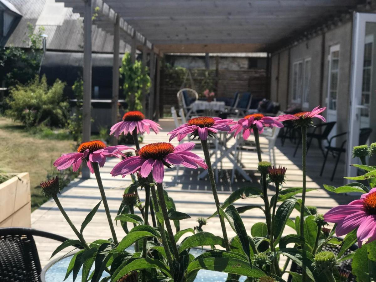 Mörbylånga Oelands Yoga Studio & Islandshaestar, Stugor & Rum מראה חיצוני תמונה